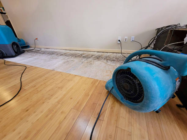 Reliable Water Damage Restoration contractor in Central Falls, RI by Hirex Water Damage